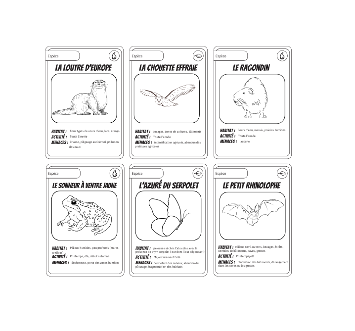 Cartes jeu bioversant.png