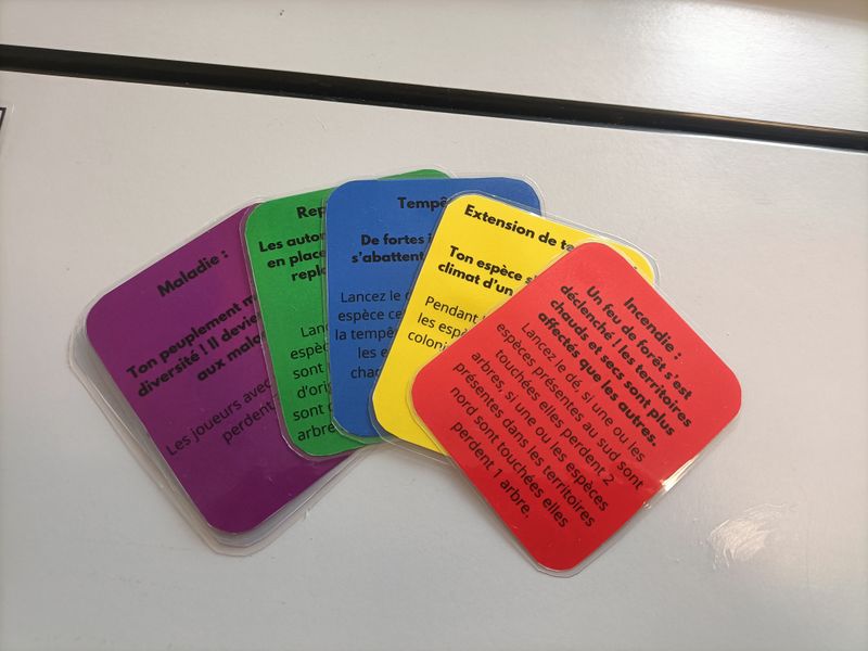 Plante vs climat IMG20250527171546.jpg