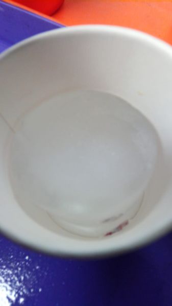 Fichier:Les glaci res de la Sainte-Baume - conserver la glace au coeur de l t IMG-20250320-WA0002.jpg