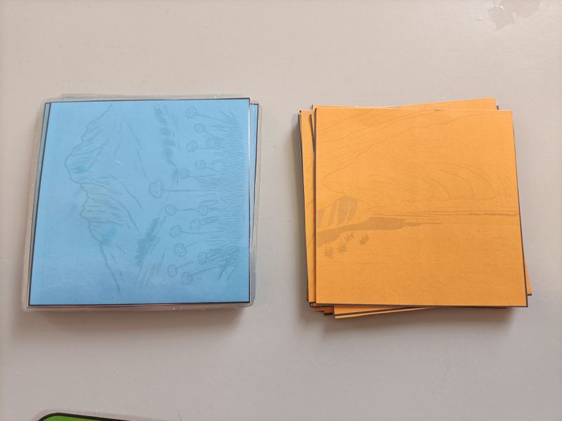 Plante vs climat IMG20250527171610.jpg