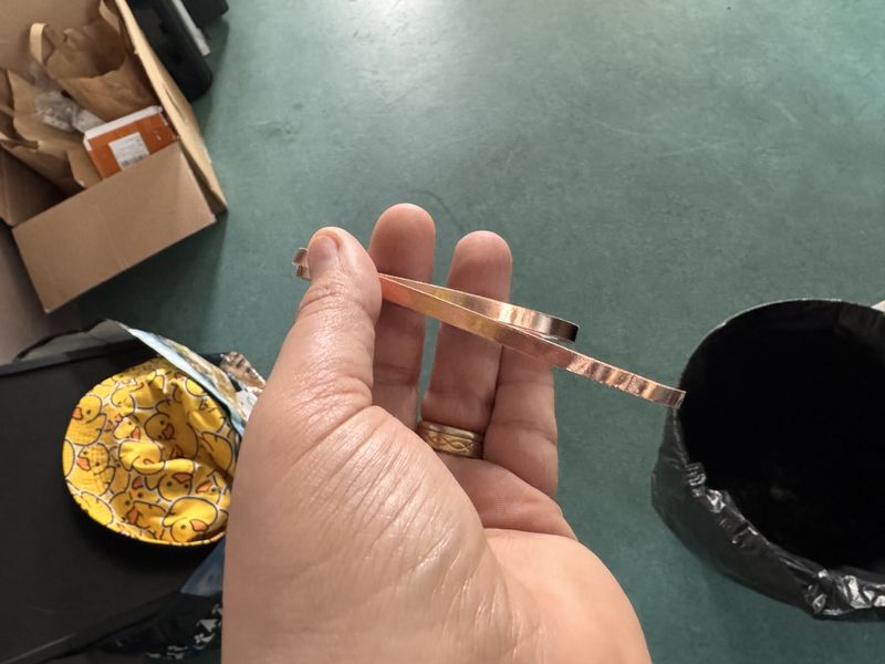 Electro Animaux IMG 9079.JPG