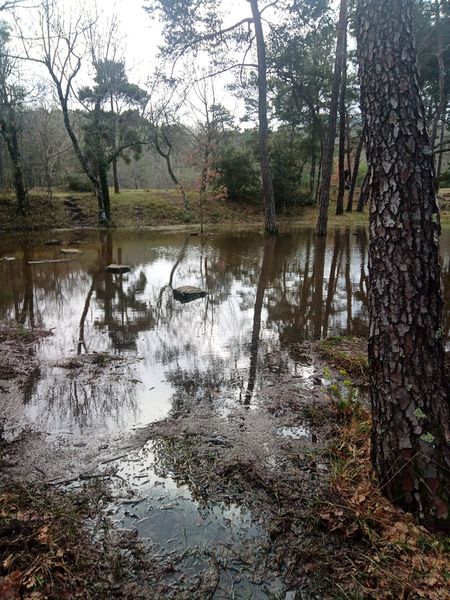 Fichier:Les glaci res de la Sainte-Baume - conserver la glace au coeur de l t IMG-20250327-WA0007.jpg