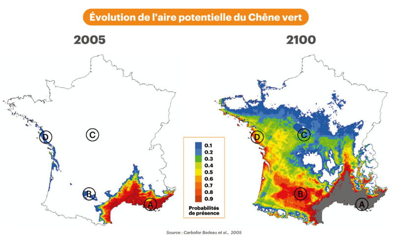 Plante vs climat Ch ne vert.png