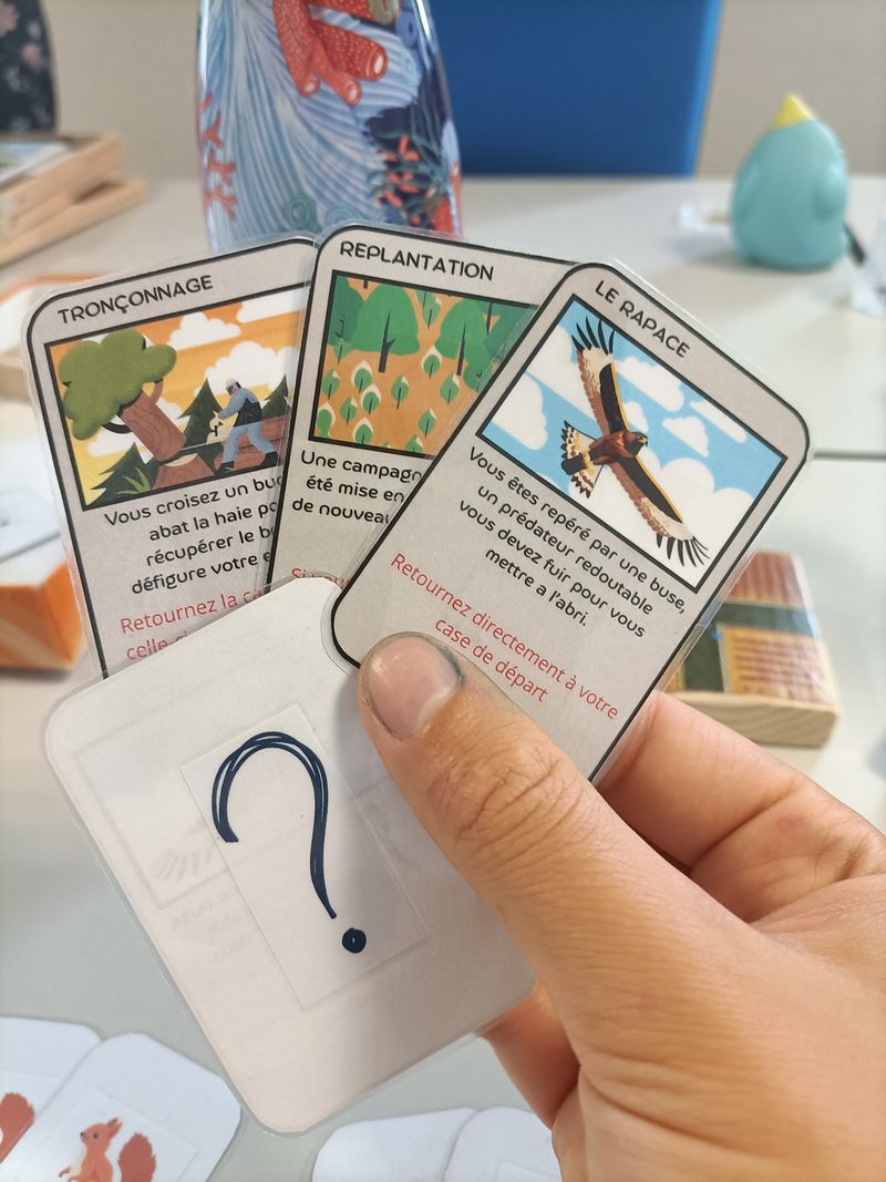 Le Labyrinthe Bocager IMG20250626161303.jpg