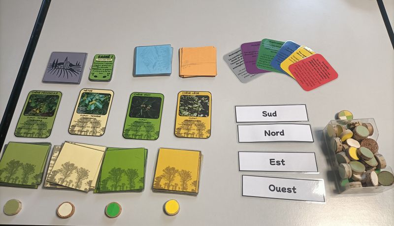 Plante vs climat IMG 20250528 092431.jpg