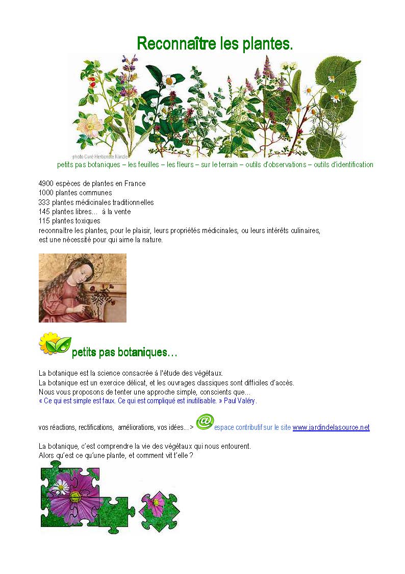 S initier aux sciences participatives en ville dossier-reconnaitre-les-plantes-JdF-JdS-image Page 1.jpg