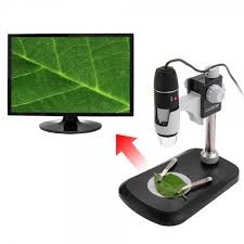 Observer et jouer avec un microscope USB images 2 .jpeg