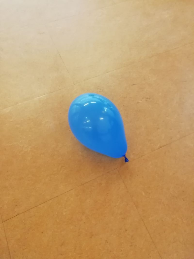 Le ballon collant IMG 20190119 120051 1 .jpg