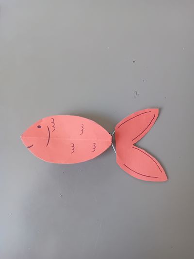 Poisson_volant_20250414_143908.jpg